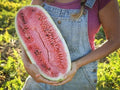 Charleston Grey Watermelon Seeds - Organic Non-GMO Heirloom Citrullus lanatus - Large, Juicy, Vining Fruit Seeds