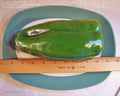 Big Bertha Sweet Pepper Seeds – Heirloom Organic Non-GMO Capsicum annuum, Large Peppers, Rare Variety, Pack of 25+ Seeds