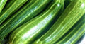 Cocozelle Zucchini Seeds – Heirloom Cucurbita pepo, Non-GMO, 30 Pack for Home Gardening & Container Growing