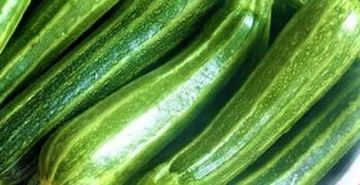 Cocozelle Zucchini Seeds – Heirloom Cucurbita pepo, Non-GMO, 30 Pack for Home Gardening & Container Growing