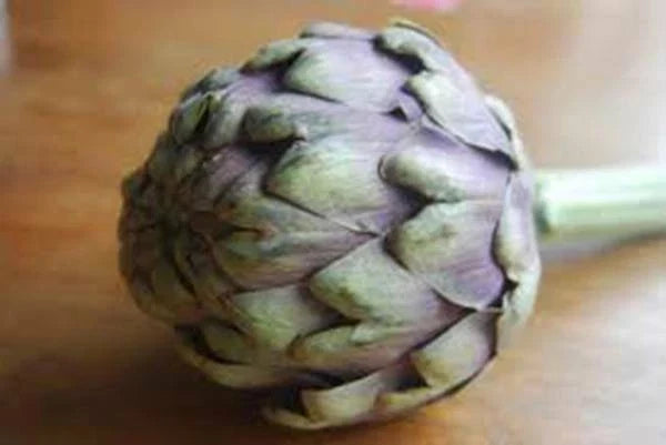 Artichoke Seeds - Heirloom Green Globe Non-GMO - Cynara scolymus - Gourmet Vegetable for Home Garden