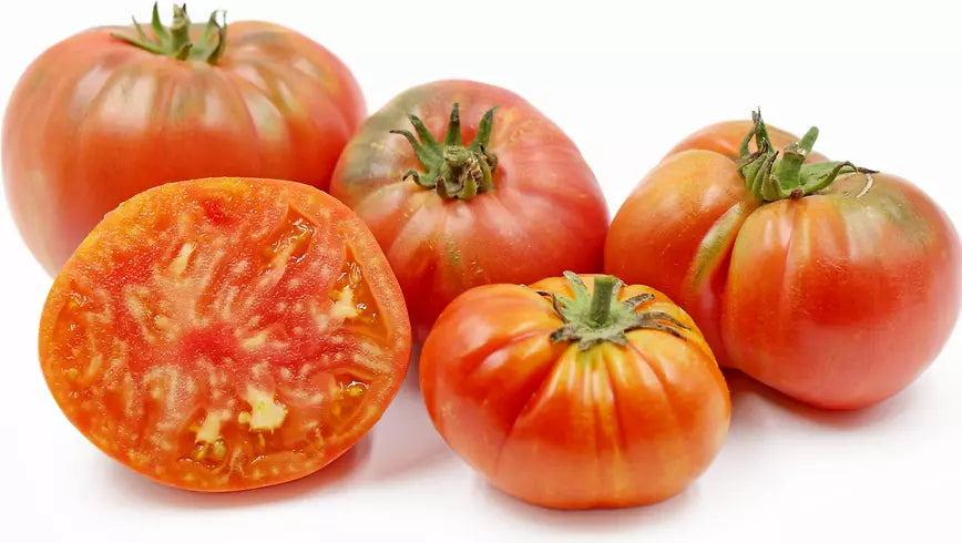 Vintage Wine Striped Tomato Seeds - Heirloom Beefsteak Variety - Solanum lycopersicum - 120+ Seeds
