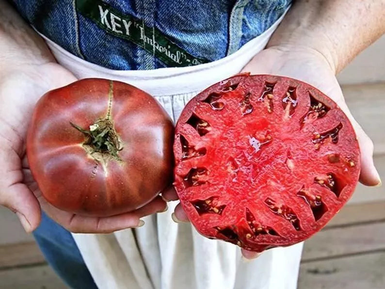 Cherokee Purple Tomato Seeds - Heirloom Non-GMO Solanum lycopersicum, 10+ Seeds for Home Garden, Fresh Eating & Canning