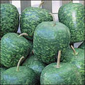 Apple Gourd Seeds Large 20+ Non-GMO | Cucurbita pepo Vegetable Fruit Herb Flower