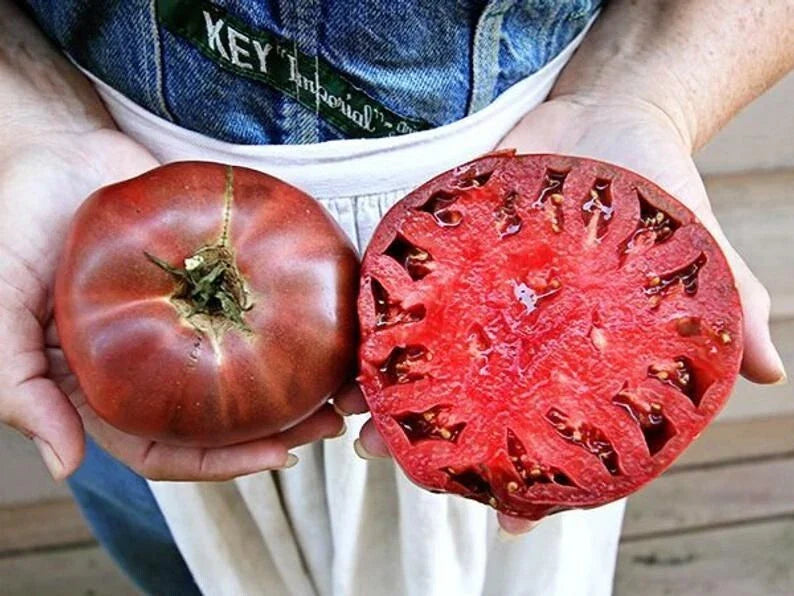 Cherokee Purple Tomato Seeds - 60+ Heirloom Non-GMO Seeds - Organic Variety - Solanum lycopersicum