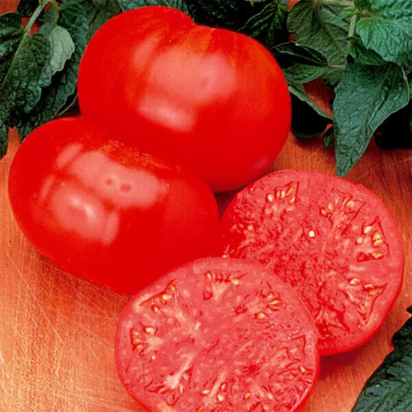 Tomato Seeds Watermelon Beefsteak Solanum lycopersicum 35 Seeds for Home Garden, Large Juicy Fruits