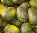 Piel De Sapo Melon Seeds – Non-GMO "Santa Claus" Variety, Cucumis melo, Rare Green Skin Melon Seeds, 25+ Pack