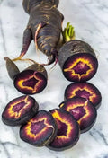Black Nebula Carrot Seeds - 200+ Heirloom Organic NON GMO - Rare Vegetable Seeds - Daucus carota