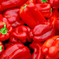 Big Red Sweet Pepper Seeds - Heirloom Capsicum Annuum, Non-GMO Vegetable Seeds for Gardening, Bountiful Harvest