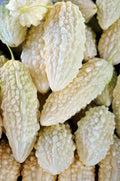 Exotic Bitter Gourd Seeds - 10 Pack White Variety - Momordica charantia for Planting Bitter Melon