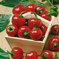 Large Red Cherry Hot Pepper Seeds - 200+ Seeds - Capsicum annuum - 3,000-5,000 Scoville Heat Units