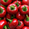 Red Cherry Hot Pepper Seeds - Organic Non-GMO Heirloom Pimenta, Capsicum annuum, Compact Bush, 10+ Seeds