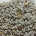 American White Cotton Seeds - 500 Count, Gossypium Hirsutum, Fuzzy Seed, USA Grown