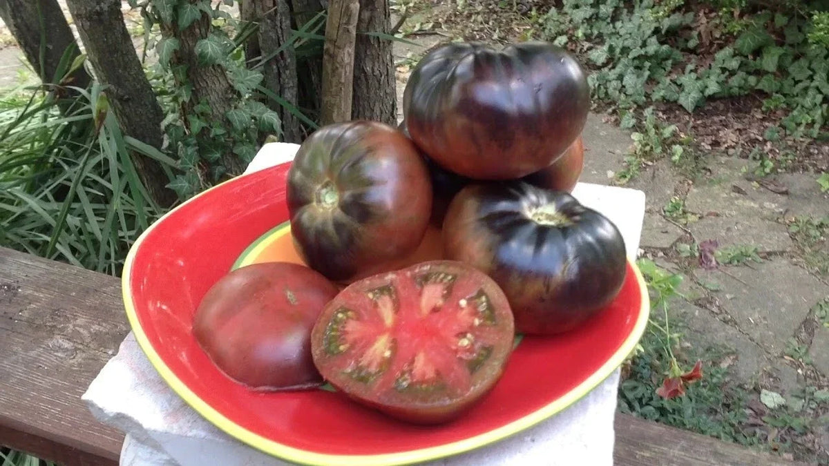 Organic Black Beauty Tomato Seeds - Heirloom, Non-GMO, Solanum lycopersicum, 10+ Seeds for Bountiful Harvest