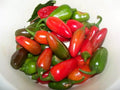 Early Jalapeno Pepper Seeds, Non-GMO, Capsicum annuum, Vegetable Seeds, Spicy Peppers for Garden or Containers