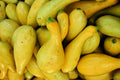 Crookneck Squash Seeds 30 Pack, Golden Yellow Summer Vegetable, Cucurbita pepo, Bush-Type, Non-GMO, Open-Pollinated