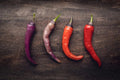 Buena Mulata Pepper Seeds - 50+ Seeds - Versatile Hot Pepper for Eating and Cooking - Capsicum annuum