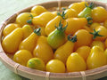 Yellow Pear Tomato Seeds - Heirloom Non-GMO Solanum lycopersicum, 500+ Seeds for Bountiful Garden, Sweet Pear-Shaped Tomatoes