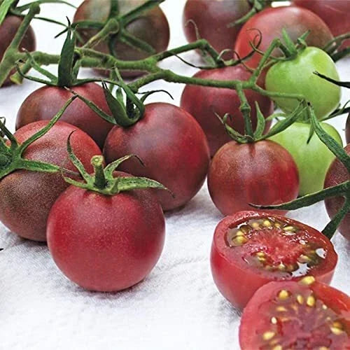 Chocolate Cherry Tomato Seeds - 40+ Non-GMO Heirloom Seeds | Solanum lycopersicum