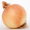 Onion Seeds Pack - Texas Early Grano Heirloom Sweet Allium cepa - 200+ Seeds for Garden & Culinary Use