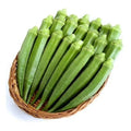 Okra Seeds - Perkins Long Pod, Heirloom Non-GMO Abelmoschus esculentus, Garden Vegetable, Fresh Seeds Packet