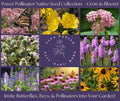Butterfly Native Garden Seed Collection - 8 Perennial Wildflower Seeds for Pollinators - Attract Butterflies & Bees