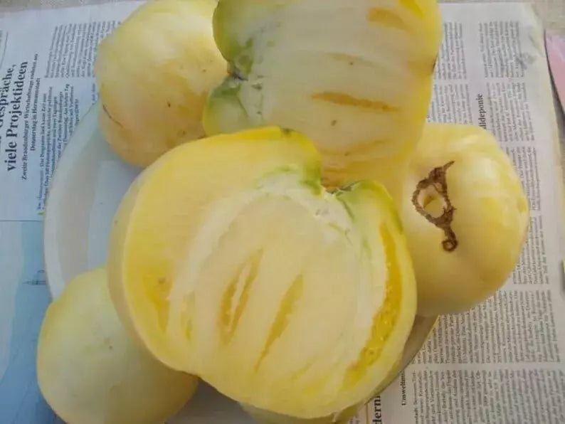 Great White Tomato Seeds - Organic Heirloom Beefsteak, White Tomato, Solanum lycopersicum, 120+ Seeds