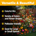 Wildflower Seeds Bulk Mix 2oz – 19 Varieties for Natural Gardens, Pollinator Attracting, Eco-Friendly Planting