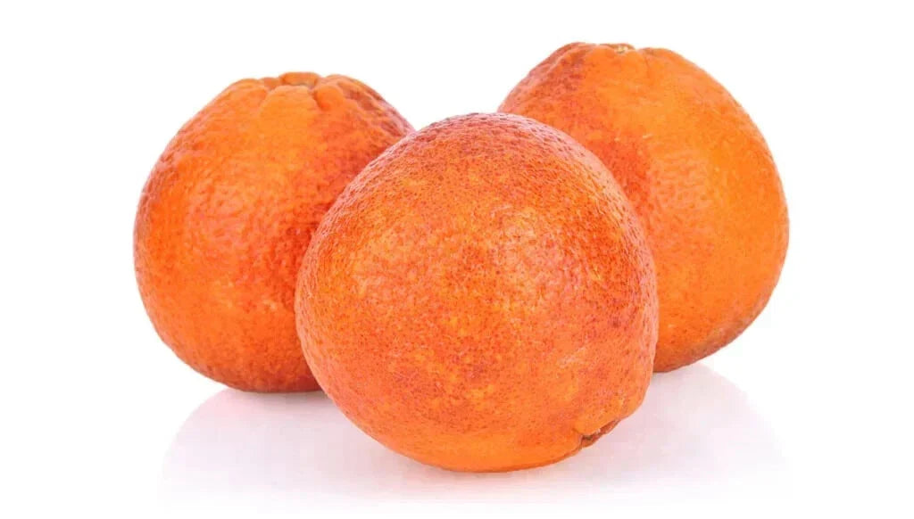 Moro Blood Orange Seeds - 5+ Pack Citrus sinensis - USA Grown, Fast Shipping