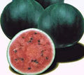 Watermelon Seeds, 100 Count, Sugar Baby Heirloom, Non-GMO, Watermelons, Citrullus lanatus