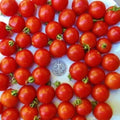 Tommy Toe Cherry Tomato Seeds 25 Pack, Australian Award-Winning Solanum lycopersicum, Sweet Juicy Fruit, Compact Growth