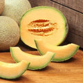 Cantaloupe Seeds Heirloom Non-GMO Edisto 47 Cucumis melo for Home Gardening, Juicy Melons