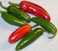 Jalapeno Hot Pepper Seeds - 100 Pack - Capsicum annuum - Spicy Peppers for Salsas & Cooking