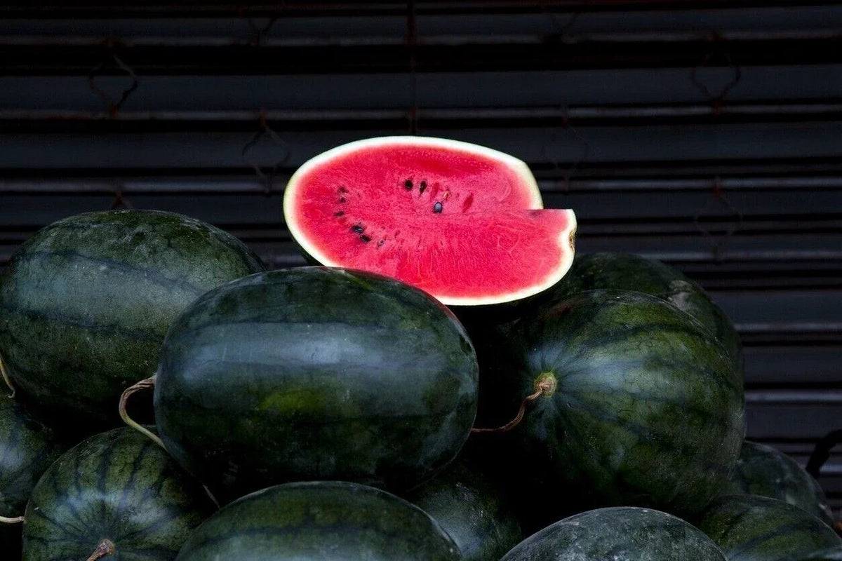 Giant Black Diamond Watermelon Seeds - Organic Heirloom Citrullus lanatus, 30+ Seeds for Large Juicy Melons