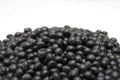 Black Soybean Seeds for Planting - Full Season Variety - Glycine max - Ideal for Sprouts and Garden Use