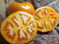 Golden Jubilee Tomato Seeds - 10+ Heirloom Organic Non-GMO Seeds - Perfect for Home Gardening - Solanum lycopersicum