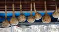 Dipper Gourd Squash Seeds - 25+ Pack - Lagenaria siceraria - USA Shipping