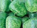 Large Apple Gourd Seeds – Lagenaria siceraria – Decorative, Crafting, Vining Annual Plant, Pack of 25 Seeds