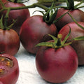 Chocolate Cherry Tomato Seeds - Heirloom Organic Super Sweet, Solanum lycopersicum, 30+ Seeds for Home Gardening