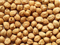 Garbanzo Bean Seeds - 8 Ounce Pack - Chickpea Variety - Cicer arietinum