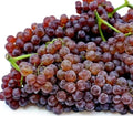 2pcs Vitis vinifera Table Grape Vine Cuttings - Red & Purple Champagne Grapes for Growing Your Own Fruit