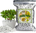 Organic Chunky Perlite for Plants, 1qt, 0.4"-0.8" Diameter, Natural Growing Medium, Soil Aeration, Hydroponics