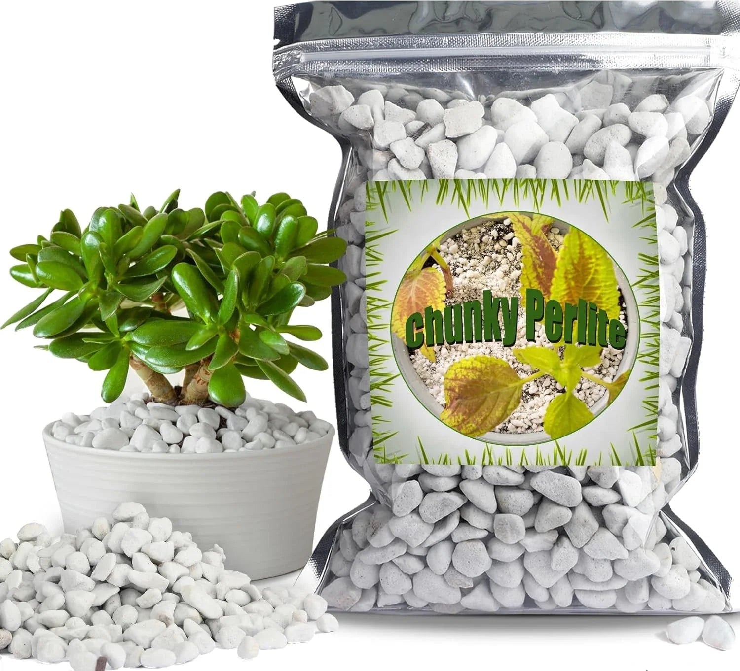 Organic Chunky Perlite for Plants, 1qt, 0.4"-0.8" Diameter, Natural Growing Medium, Soil Aeration, Hydroponics