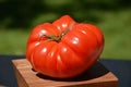 German Johnson Tomato Seeds – Organic Heirloom, Non-GMO, Large Juicy Tomatoes, Solanum lycopersicum, Seed Packet