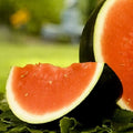 Sugar Baby Watermelon Seeds - Non-GMO Heirloom Organic Garden Seeds Citrullus lanatus
