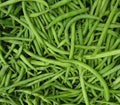 Burpee Stringless Green Bean Seeds 1/4 LB Non-GMO Phaseolus vulgaris Climbing Vines Garden Vegetable Seeds
