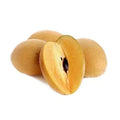 Very Sweet Sapote Seeds - 10 Pack, Sapodilla Fruit Tree, Tropical Fruit Seeds, Manilkara zapota, Garden & Orchard Plant