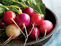 Easter Egg Radish Seeds - Non-GMO, Assorted Colors, Fast Harvest, Raphanus sativus, Container Garden, Cool-Season Crop
