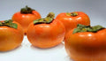 Fuyu Persimmon Tree Seedlings 6" to 1 FT - Diospyros Kaki, Asian Fruit Trees, Sweet Edible Fruit, 2 Live Plants