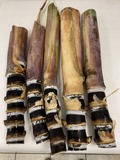 Black Soft Chew Sugar Cane Cuttings - Unrooted Live Saccharum officinarum for Planting, Propagation, Warm Climates